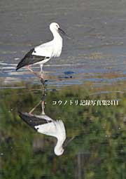 REmgL^ʐ^W2411