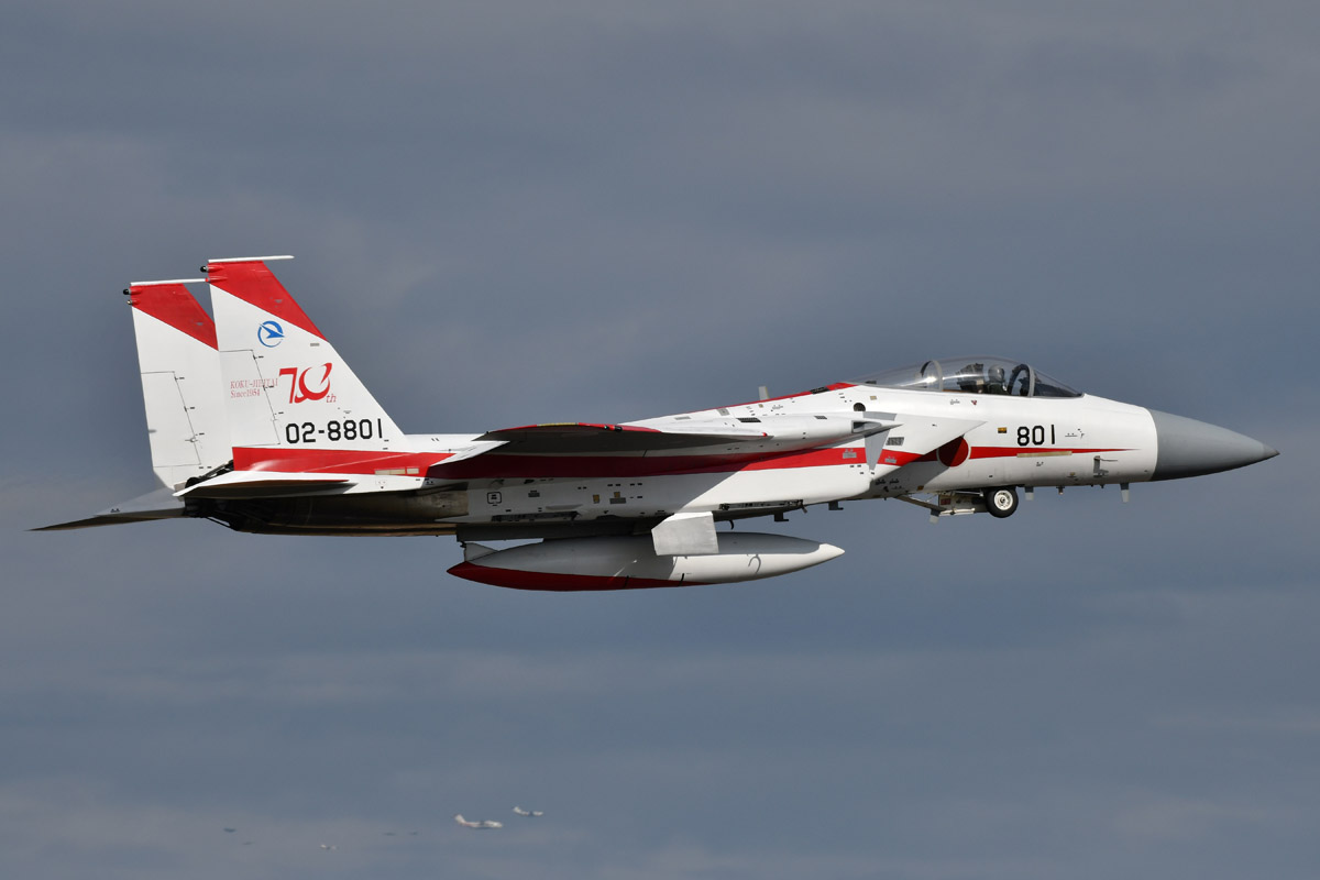 F-15J(#02-8801)ʓh@